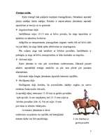 Referāts 'Kopējie norādījumi jāšanas sporta treniņnodarbībām', 7.