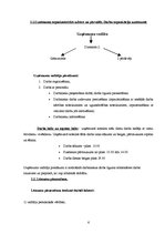 Prakses atskaite 'Prakses atskaite uzņēmējdarbībā', 5.