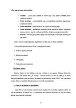 Prakses atskaite 'Prakses atskaite uzņēmējdarbībā', 11.