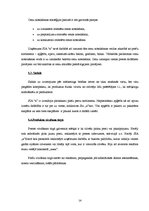 Prakses atskaite 'Prakses atskaite uzņēmējdarbībā', 13.