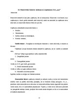 Prakses atskaite 'Prakses atskaite uzņēmējdarbībā', 15.