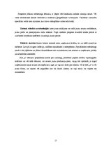 Prakses atskaite 'Prakses atskaite uzņēmējdarbībā', 16.