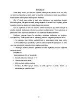 Prakses atskaite 'Prakses atskaite uzņēmējdarbībā', 17.