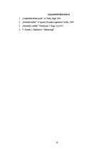 Prakses atskaite 'Prakses atskaite uzņēmējdarbībā', 18.