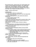 Konspekts 'Antīkā filosofija', 3.