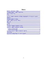 Referāts 'Mazo un vidējo uzņēmumu attīstības perspektīvas tuvākajos 10 gados', 2.