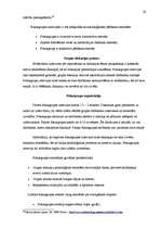 Referāts 'Dzimumu stereotipu izmantojums reklāmās Pirmajā Baltijas Kanālā periodā no 2008.', 26.