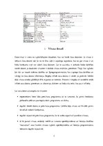 Referāts 'Datortīklu draudu avoti', 7.