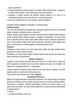 Konspekts 'Konkurence', 2.