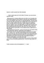 Eseja 'Frazeoloģismi pasakā par trīs brāļiem', 1.