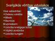 Prezentācija 'Kultūrvērtības viduslaikos', 5.