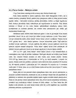 Prakses atskaite 'Uzņēmuma iespējas izejai ārējā tirgū', 7.