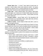 Prakses atskaite 'Uzņēmuma iespējas izejai ārējā tirgū', 17.