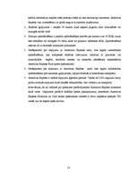 Prakses atskaite 'Uzņēmuma iespējas izejai ārējā tirgū', 18.