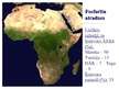 Prezentācija 'Āfrikas dabas resursi', 10.