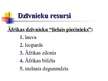 Prezentācija 'Āfrikas dabas resursi', 24.