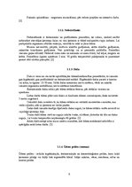 Referāts 'Hidroterapijas pielietošana sportistu atjaunošanās procesā', 6.