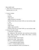 Referāts 'Bērna runas un valodas izpēte', 2.