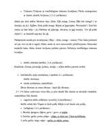 Referāts 'Bērna runas un valodas izpēte', 9.