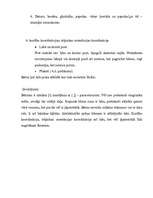 Referāts 'Bērna runas un valodas izpēte', 10.