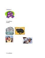 Referāts 'Bērna runas un valodas izpēte', 14.