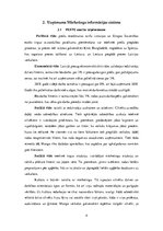 Referāts 'Mārketinga stratēģija', 4.