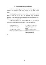 Referāts 'Mārketinga stratēģija', 9.