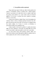 Referāts 'Mārketinga stratēģija', 10.