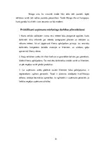 Referāts 'Mārketinga stratēģija', 14.