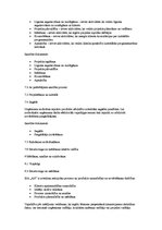 Paraugs 'Kvalitātes rokasgrāmata informācijas tehnoloģiju uzņēmumam SIA "AN technology"', 10.