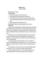 Konspekts 'Spēle ar mārītēm. Didaktiskā rotaļa', 1.