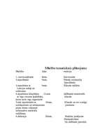 Referāts 'Informācija ceļot gribošiem pensionāriem', 2.