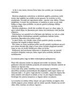 Referāts 'Informācija ceļot gribošiem pensionāriem', 5.