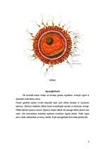 Referāts 'Grūtniecība', 6.