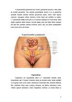 Referāts 'Grūtniecība', 8.