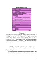 Referāts 'Grūtniecība', 10.