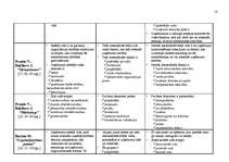 Referāts 'A/s “Jelgavas maiznieks” vadīšana mainīgas ārējās vides apstākļos', 18.