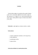 Referāts 'Vegetarismus unter den Jugendlichen', 5.