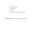 Referāts 'Vegetarismus unter den Jugendlichen', 6.