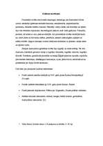 Referāts 'Kultūra', 3.