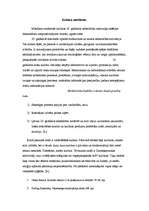 Referāts 'Kultūra', 4.