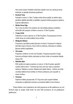 Prakses atskaite 'Vērošanas prakse Rīgas Ebreju Kopiena', 8.