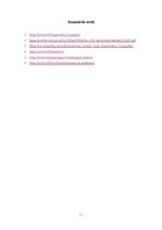 Prakses atskaite 'Vērošanas prakse Rīgas Ebreju Kopiena', 17.