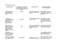 Konspekts 'Eksāmena darbs pirmsskolas izglītības satura integrēšanas pamatos', 4.