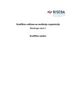 Referāts 'Konflikta analīze', 1.