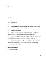 Referāts 'Konflikta analīze', 4.