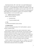 Referāts 'Konflikta analīze', 5.