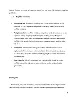 Referāts 'Konflikta analīze', 8.