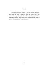 Referāts 'Koalas', 3.