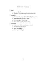 Referāts 'Koalas', 14.